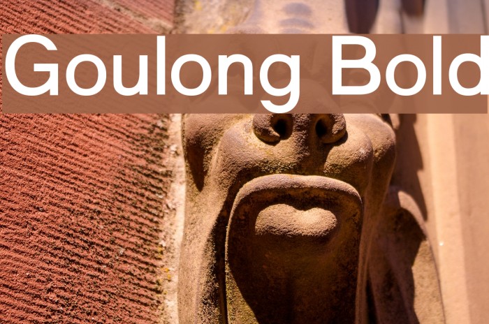 Goulong Bold Font examples