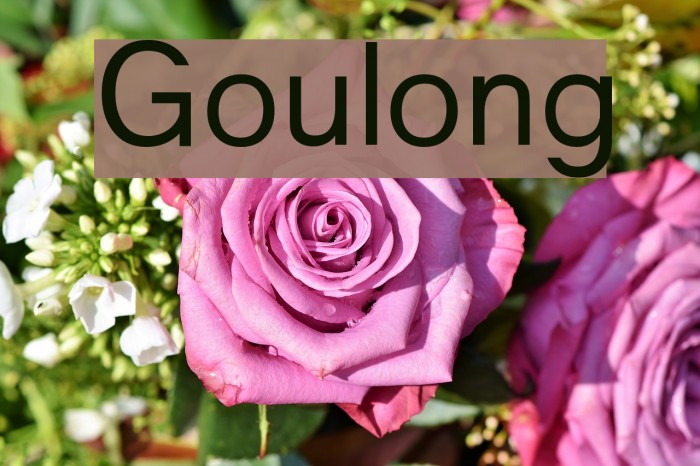 Goulong Font examples