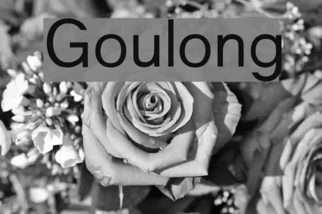 Goulong Polices examples