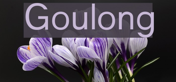 Goulong Font examples