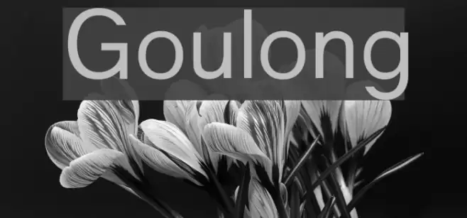 Goulong Polices examples