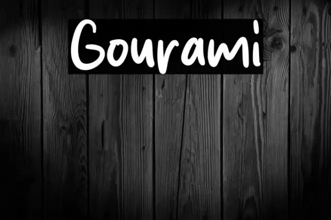 Gourami Font examples