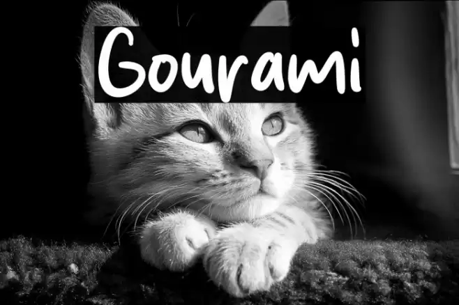 Gourami Font examples