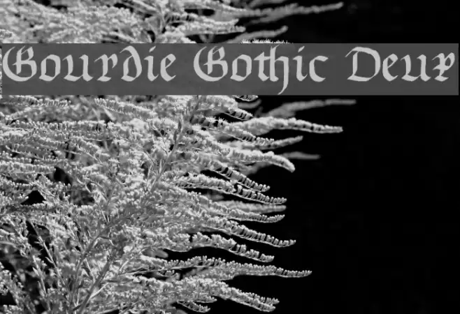 Gourdie Gothic Deux Font examples