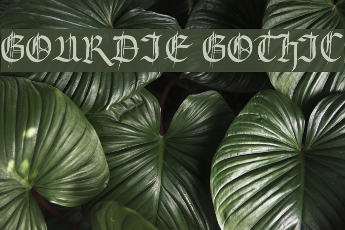 Gourdie Gothic Example 2