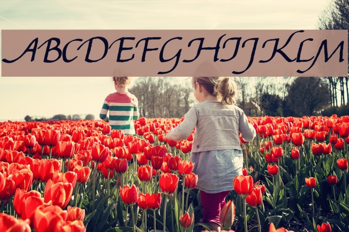 Gourdie Handwriting Font examples