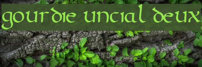Gourdie Uncial Deux Font examples