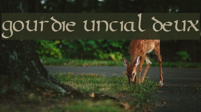 Gourdie Uncial Deux Font examples