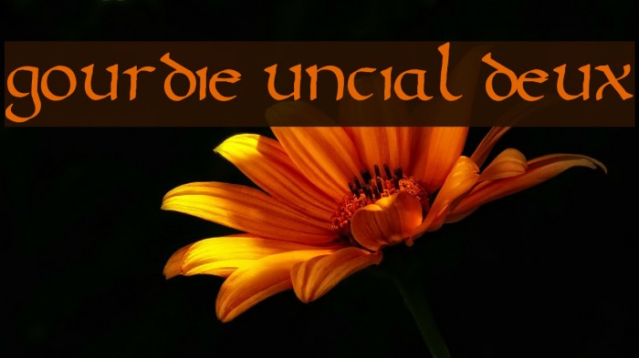 Gourdie Uncial Deux Font examples