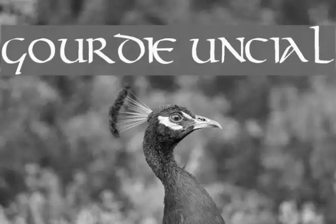 Gourdie Uncial Font examples