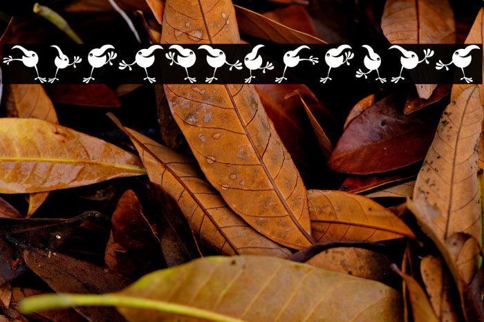 Gourdy Regular Example 3