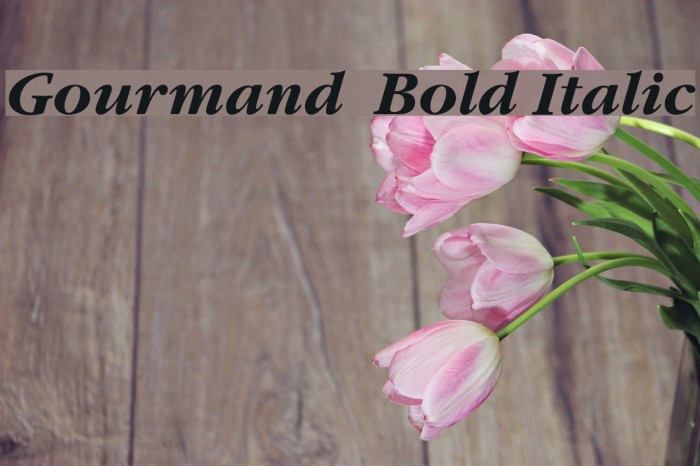 Gourmand Bold Italic Font examples