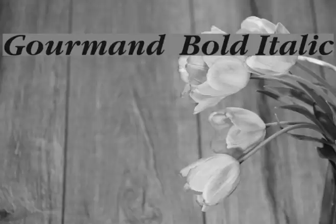 Gourmand  Bold Italic フォント examples