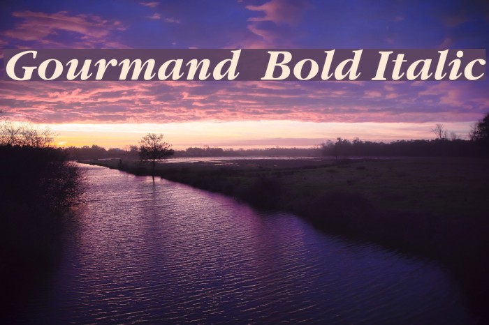 Gourmand Bold Italic Font examples