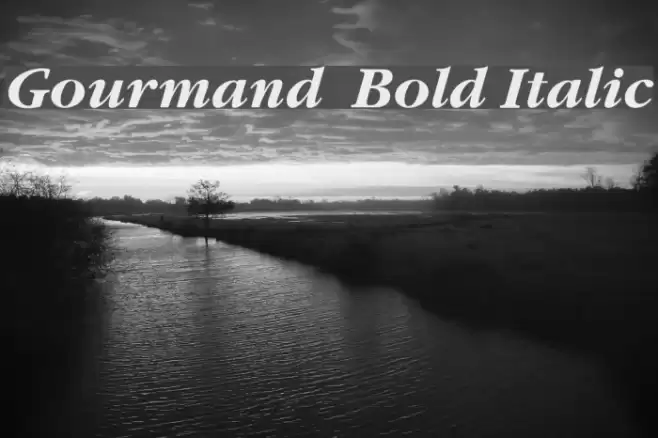 Gourmand  Bold Italic フォント examples