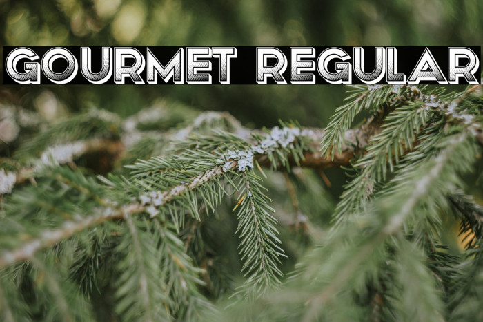 Gourmet Regular Example 2