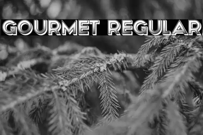 Gourmet Regular Font examples