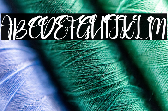 Goushy Script Example 3