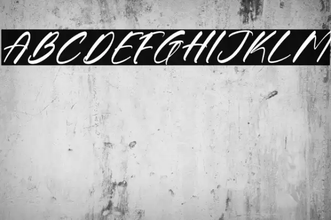 Gouthals Palmetto DEMO VERSION Italic Fuentes examples