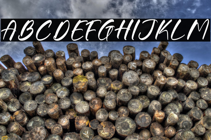 Gouthals Palmetto DEMO VERSION Caratteri examples