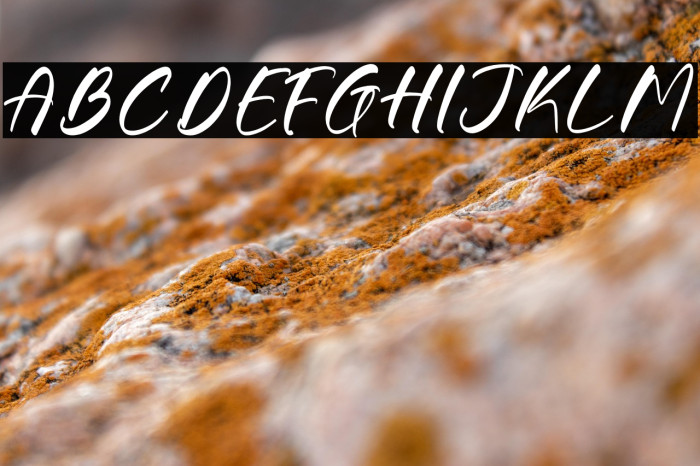 Gouthals Palmetto DEMO VERSION Caratteri examples