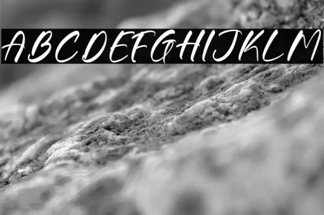 Gouthals Palmetto DEMO VERSION Font examples