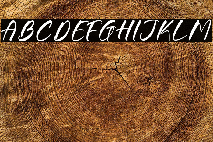 Gouthals Palmetto DEMO VERSION Caratteri examples