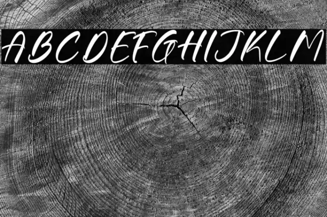 Gouthals Palmetto DEMO VERSION Font examples