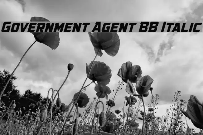 Government Agent BB Italic Font examples