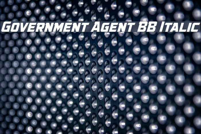 Government Agent BB Italic Font examples
