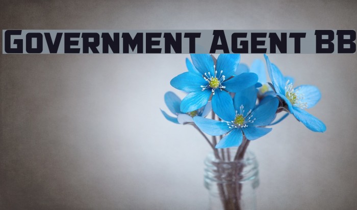 Government Agent BB Font examples