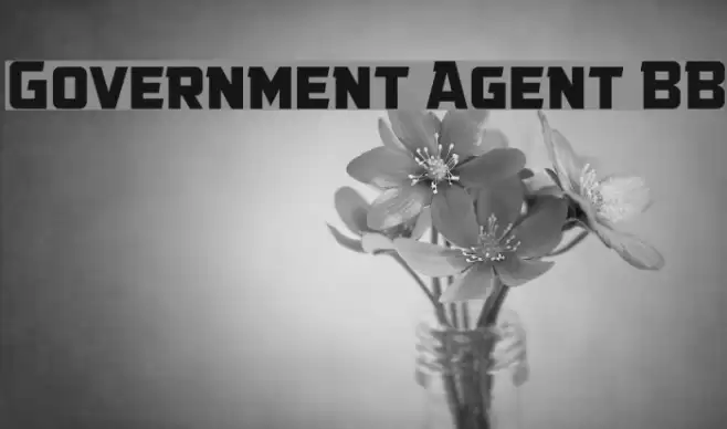 Government Agent BB Font examples