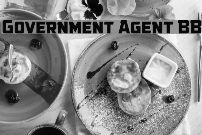 Government Agent BB Font examples