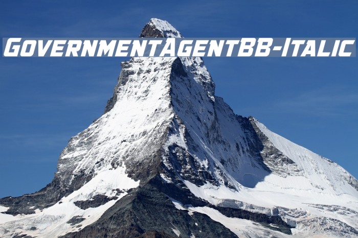 GovernmentAgentBB-Italic Font examples
