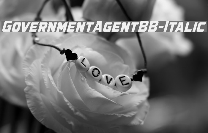 GovernmentAgentBB-Italic Font examples