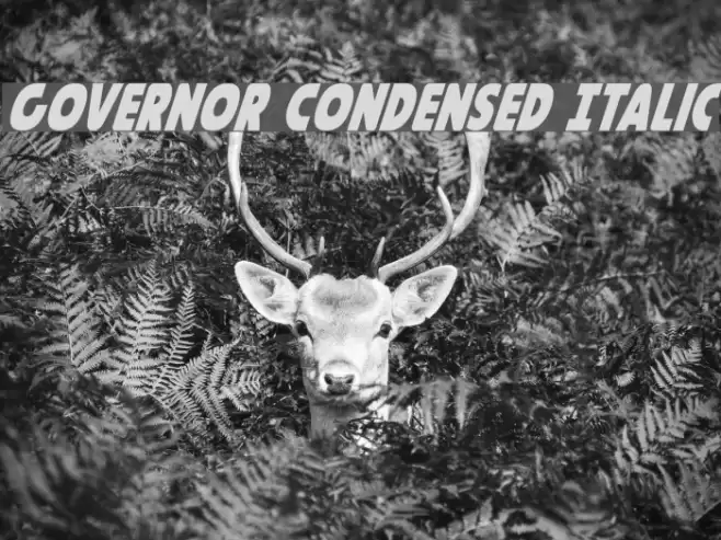 Governor Condensed Italic Font examples