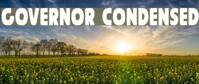 Governor Condensed Example 2