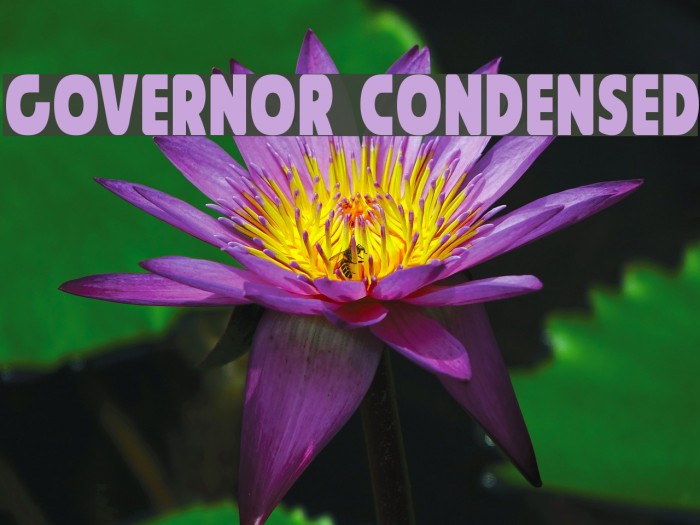 Governor Condensed Example 3