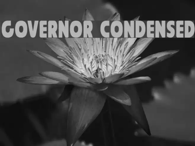 Governor Condensed Font examples