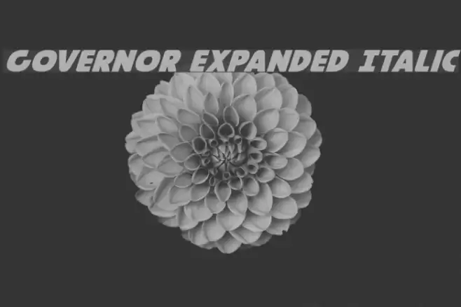 Governor Expanded Italic Font examples