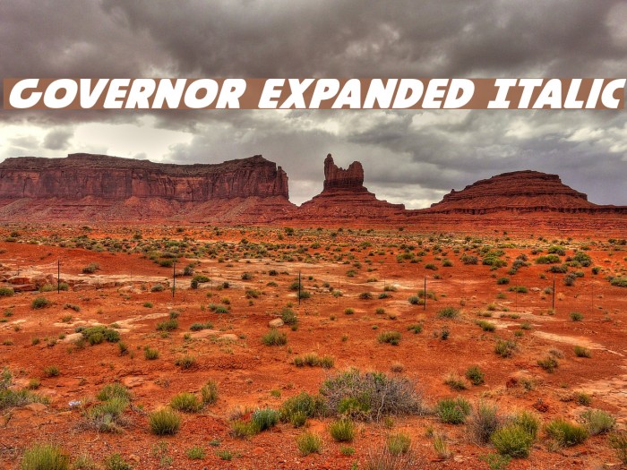 Governor Expanded Italic Font examples