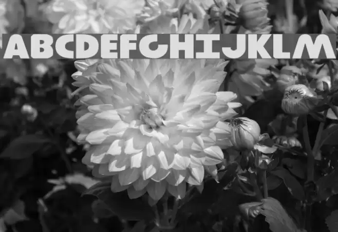 Governor Expanded Font examples