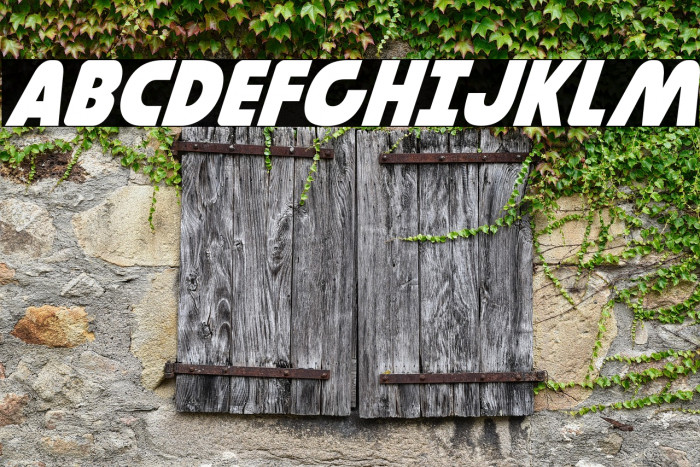 Governor Italic Example 1