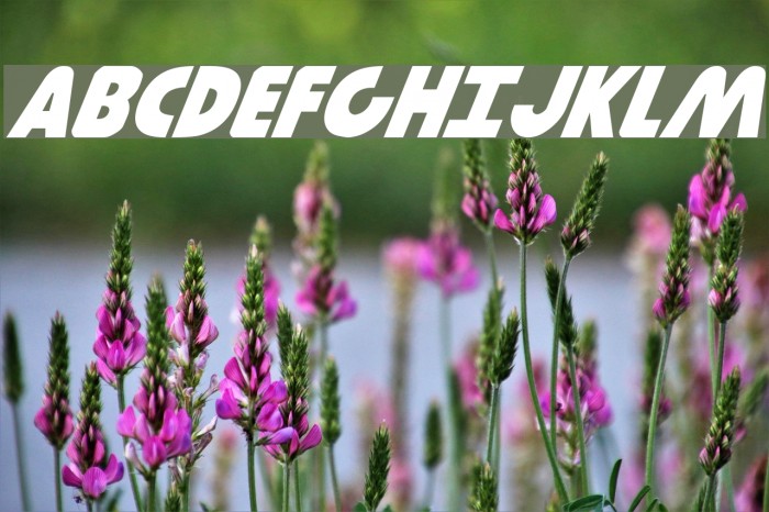 Governor Italic Font examples