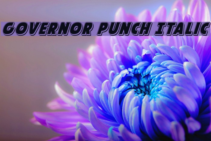 Governor Punch Italic Font examples