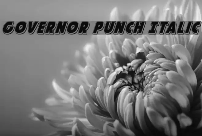 Governor Punch Italic फ़ॉन्ट examples