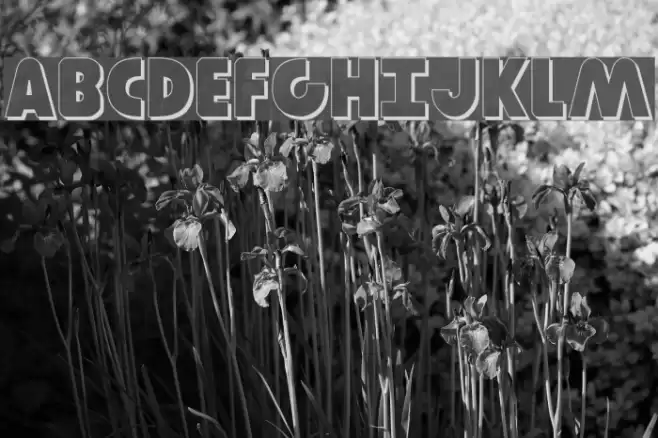 Governor Shadow Font examples