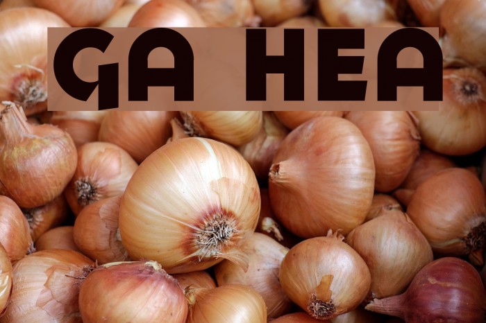 Goya Heavy Font examples