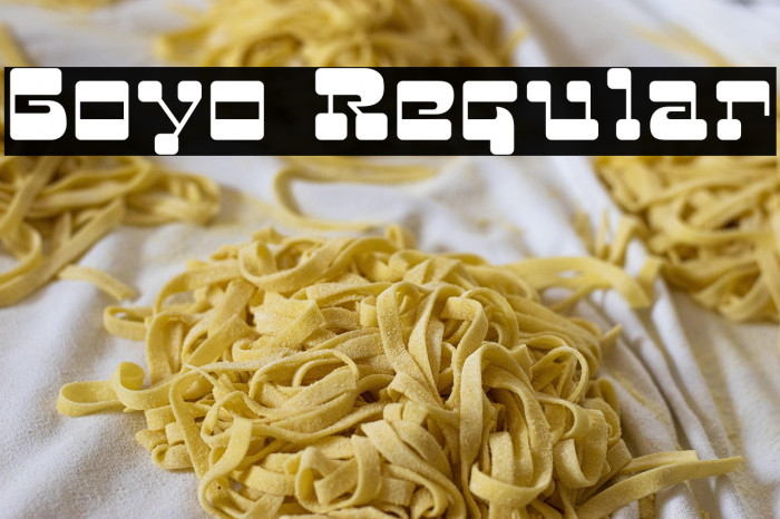 Goyo Regular Example 2