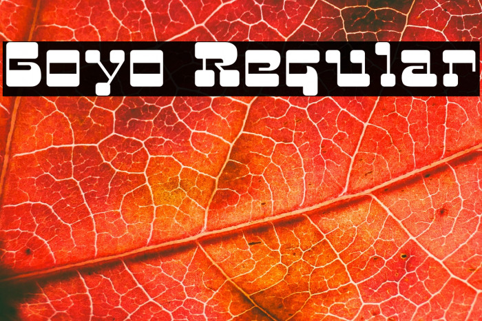 Goyo Regular Example 3